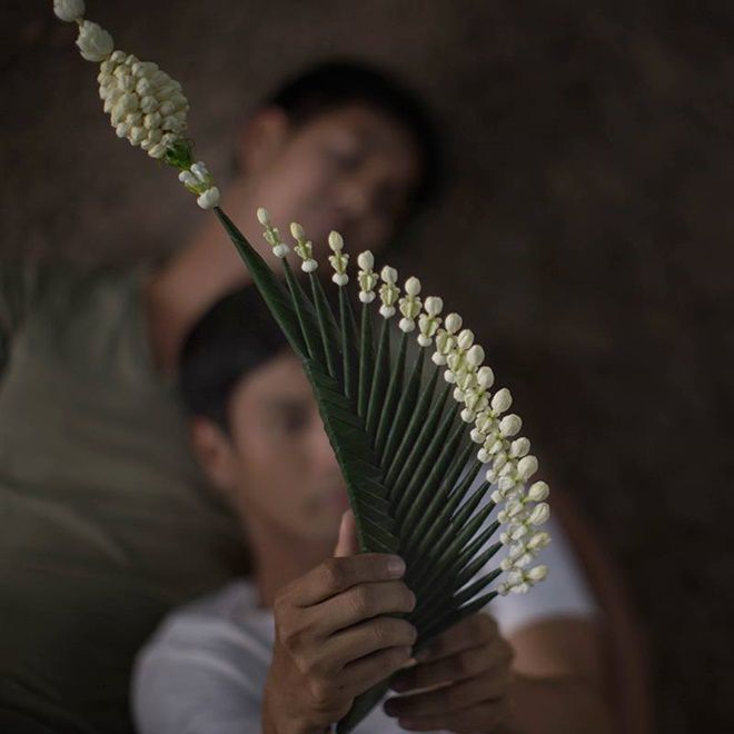 Malila - The Farewell Flower: Phim đam mỹ của Weir tranh giải Oscar 2019 (9)