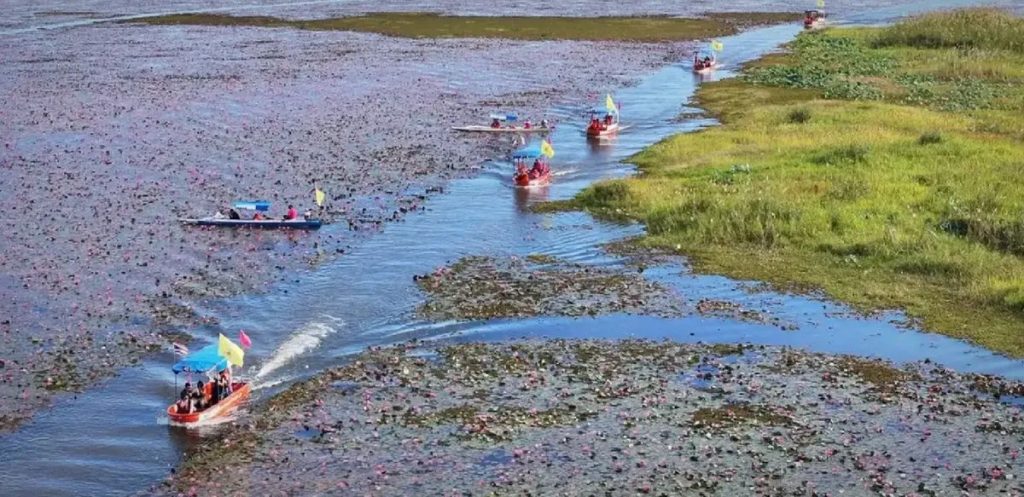 Lisa (BLACKPINK) làm đại sứ chiến dịch "Amazing Thailand" - 2